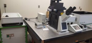 Time-resolved fluorescence microscope